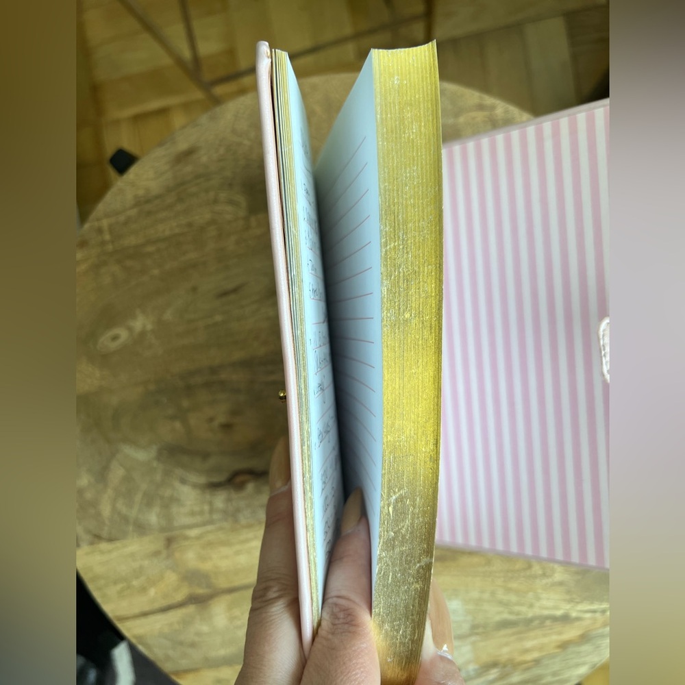 Victoria's Secret Light Pink Embossed Journal Vintage EUC - Picture 8 of 10